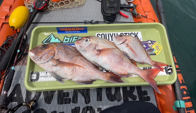 Three red snapper laid on a green tray on a kayak, with fishing gear and stickers visible in the background.