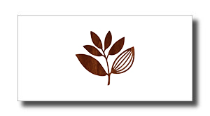 MAGENTAバナー - SHOP NEWS | ムラサキスポーツオンラインストア 通販