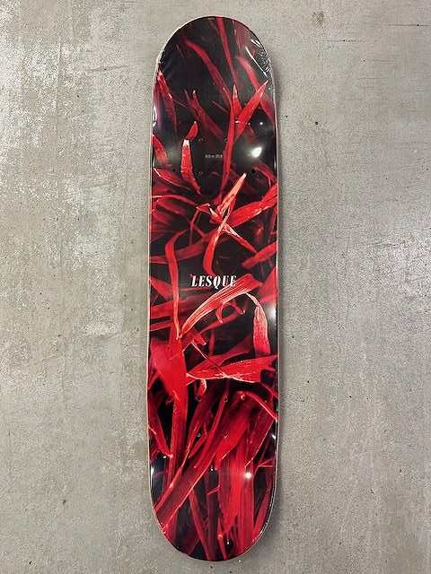 s-IMG_2627 - SHOP NEWS | ムラサキスポーツオンラインストア 通販