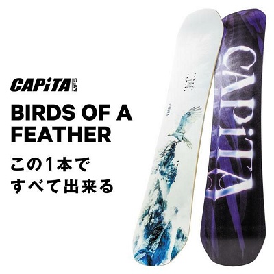 000000033456-02-l - SHOP NEWS | ムラサキスポーツオンラインストア 通販