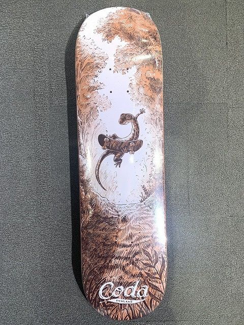 codaBoard3 - SHOP NEWS | ムラサキスポーツオンラインストア 通販