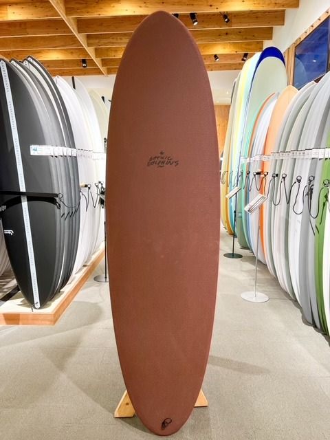 dolphinsOxBlood1 - SHOP NEWS | ムラサキスポーツオンラインストア 通販