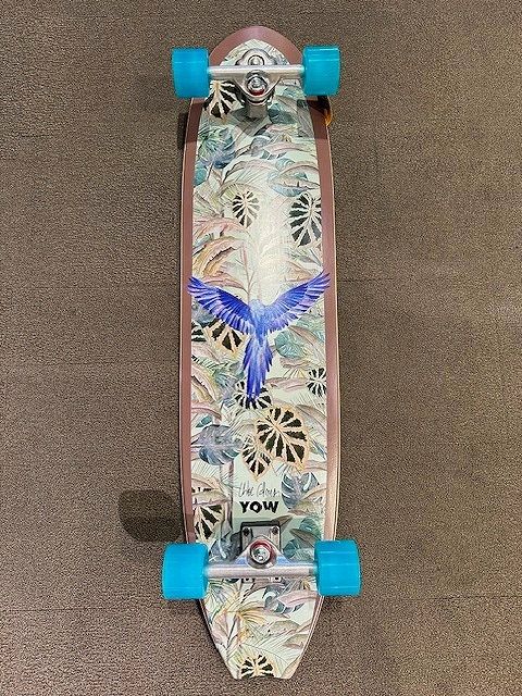 yowCalmonCruiser1 - SHOP NEWS | ムラサキスポーツオンラインストア 通販