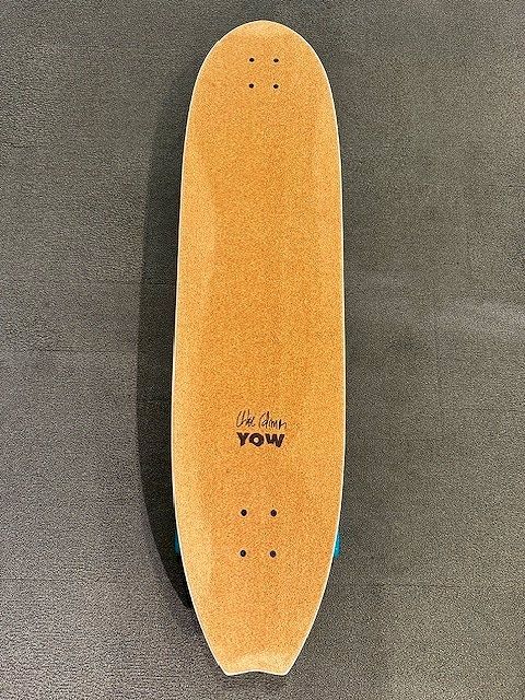 yowCalmonCruiser2 - SHOP NEWS | ムラサキスポーツオンラインストア 通販