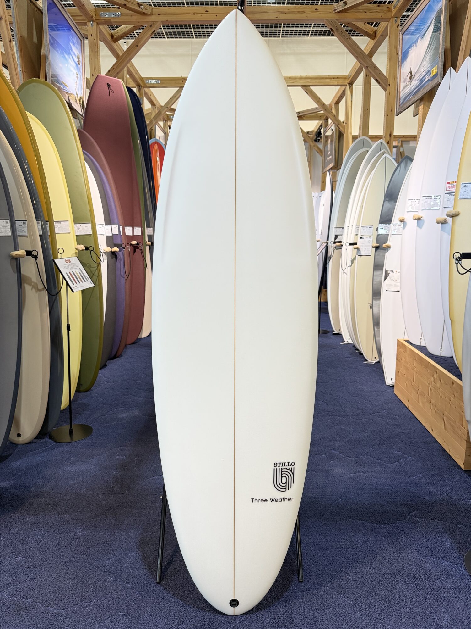 IMG_4019 - SHOP NEWS | ムラサキスポーツオンラインストア 通販 White surfboard on a stand in a surf shop, surrounded by colorful boards along the walls and racks.