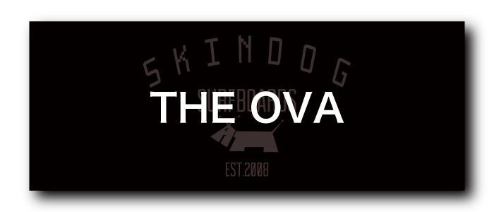 SKINDOGバナー - SHOP NEWS | ムラサキスポーツオンラインストア 通販