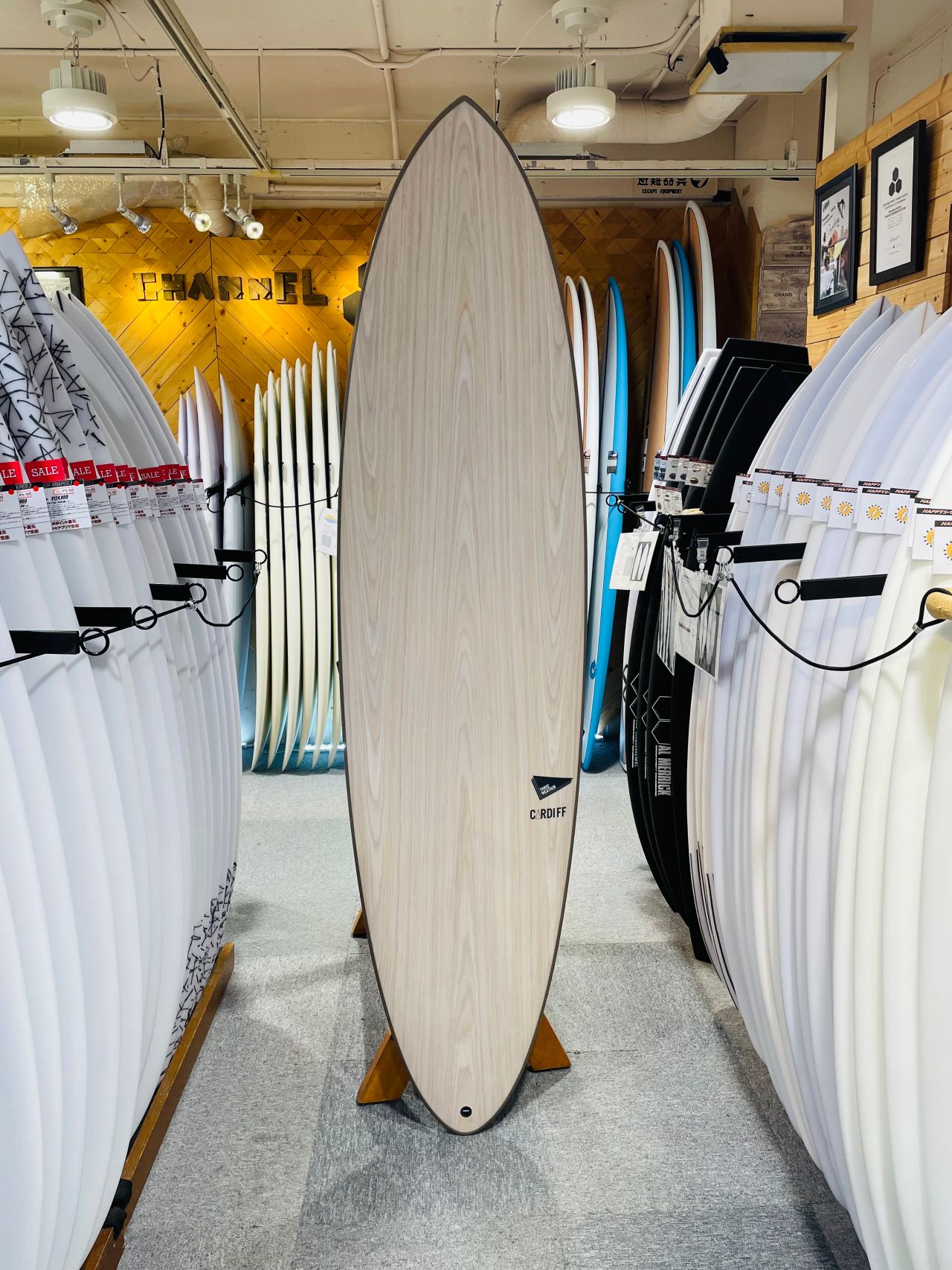 chigasaki-CardiffBRN1 - SHOP NEWS | ムラサキスポーツオンラインストア 通販