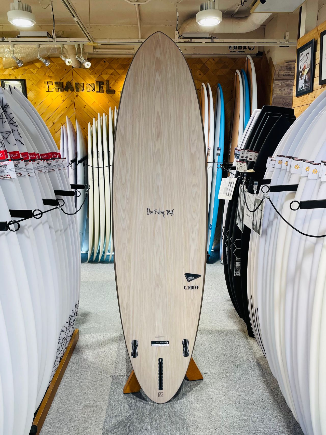 chigasaki-CardiffBRN2 - SHOP NEWS | ムラサキスポーツオンラインストア 通販