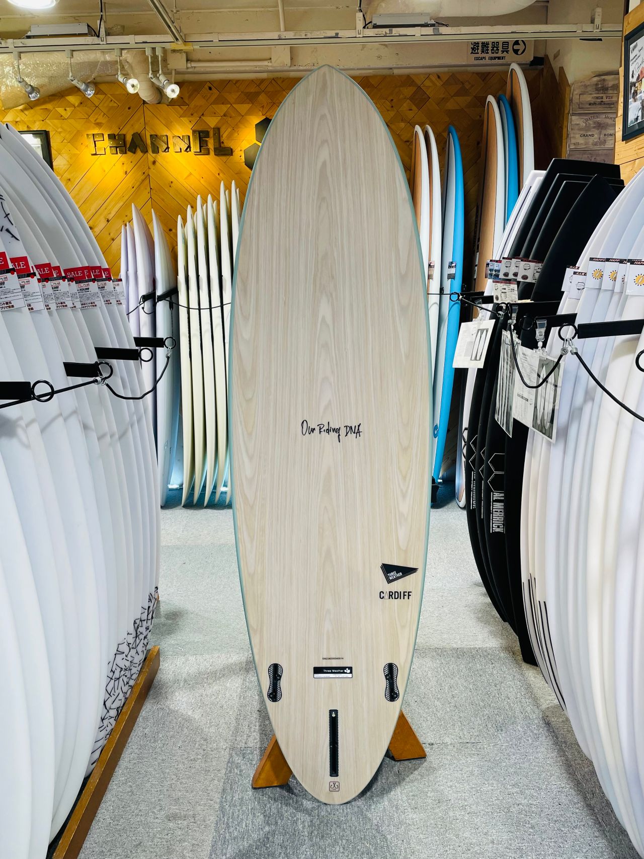 chigasaki-CardiffGRN2 - SHOP NEWS | ムラサキスポーツオンラインストア 通販