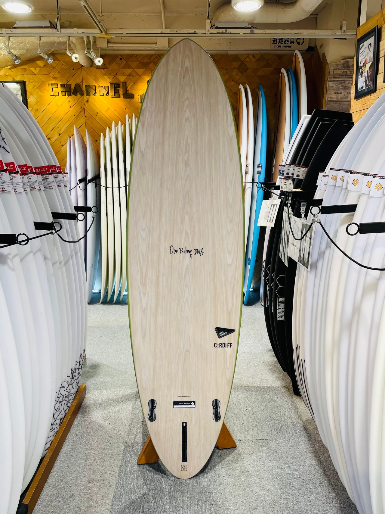 chigasaki-CardiffKHA2 - SHOP NEWS | ムラサキスポーツオンラインストア 通販