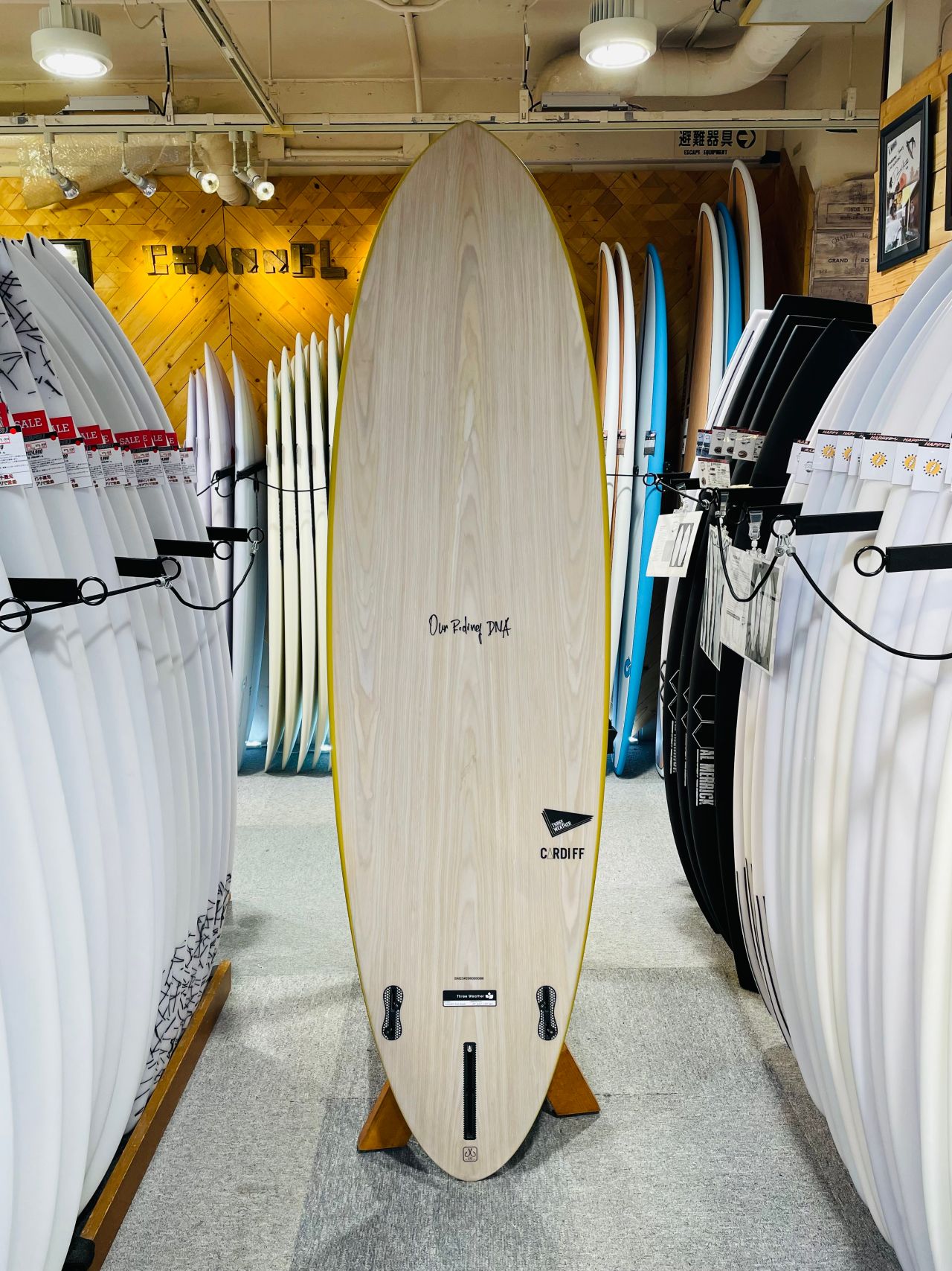 chigasaki-CardiffMTD2 - SHOP NEWS | ムラサキスポーツオンラインストア 通販