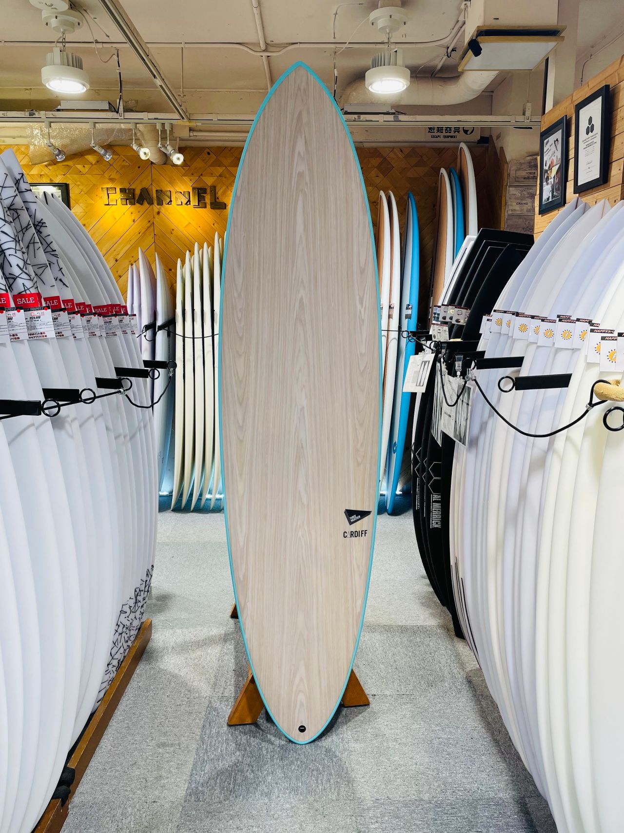 chigasaki-CardiffTRQ1 - SHOP NEWS | ムラサキスポーツオンラインストア 通販