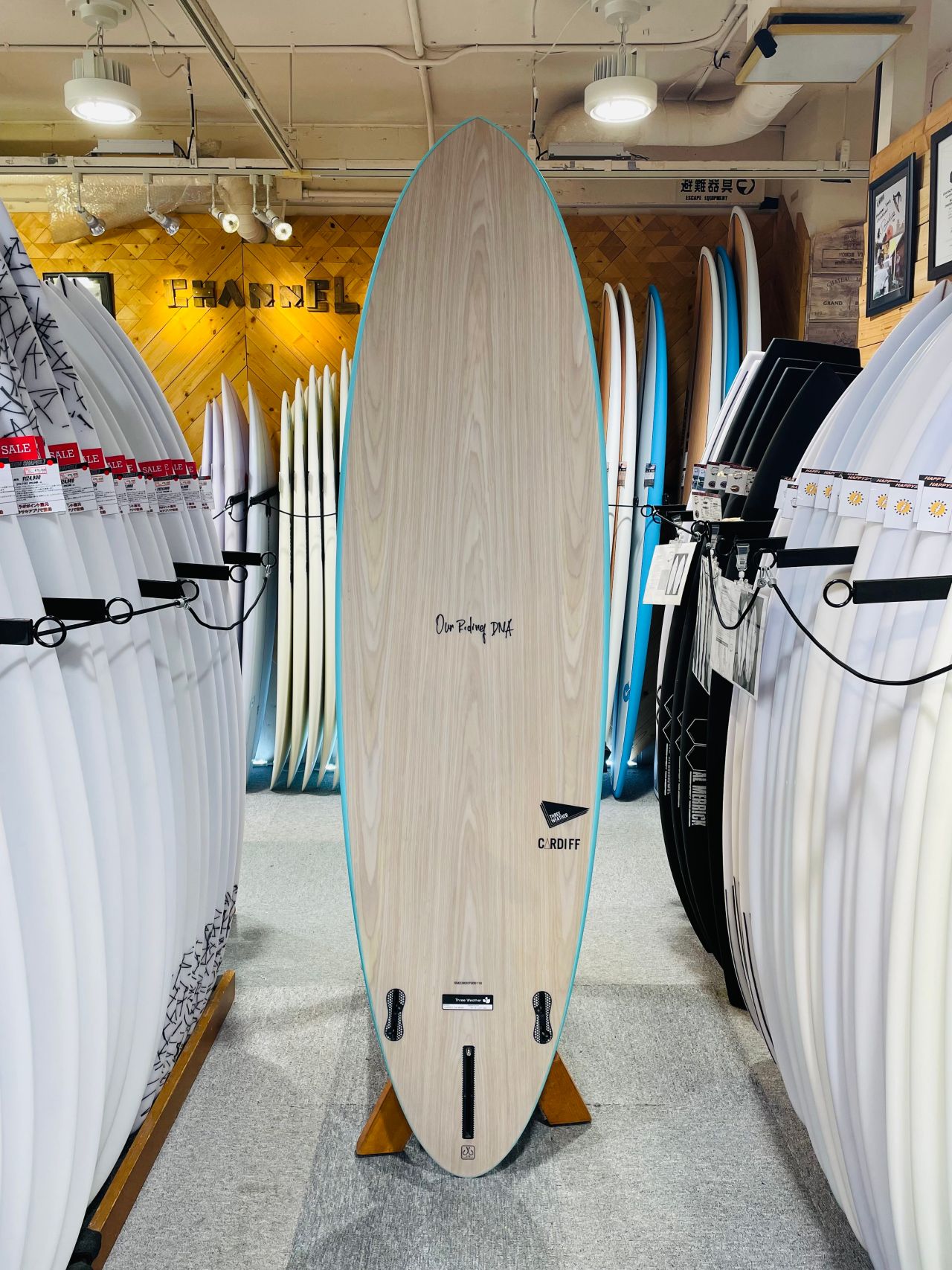 chigasaki-CardiffTRQ2 - SHOP NEWS | ムラサキスポーツオンラインストア 通販
