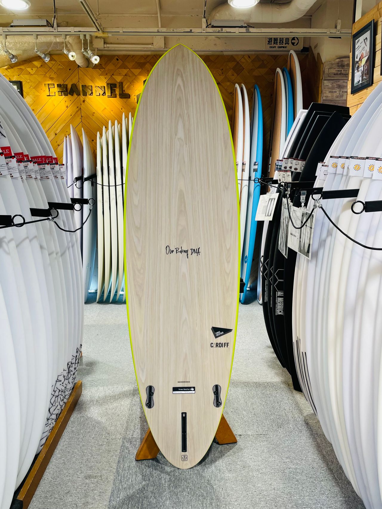chigasaki-CardiffYEL2 - SHOP NEWS | ムラサキスポーツオンラインストア 通販
