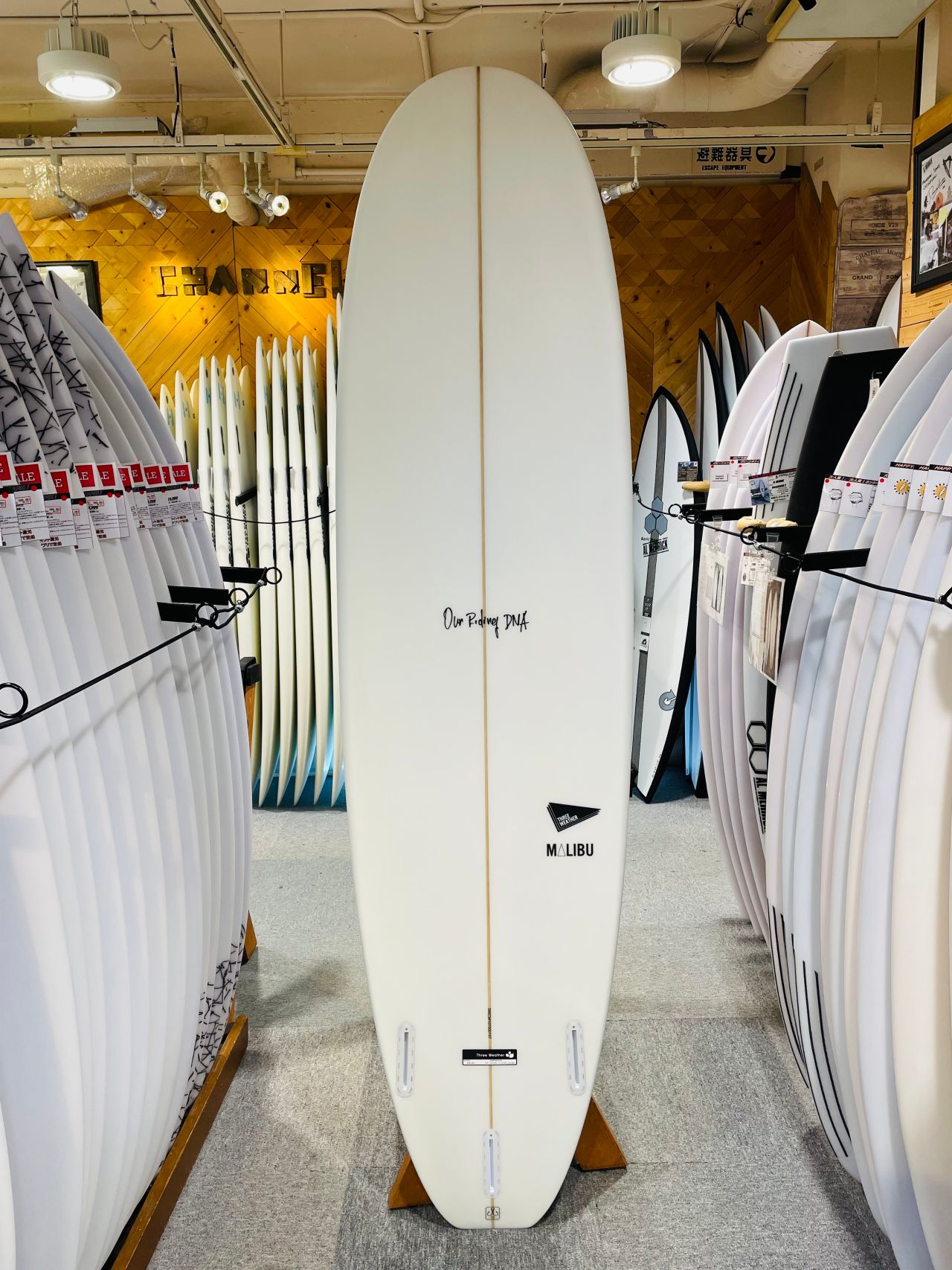 chigasaki-MalibuEPS2 - SHOP NEWS | ムラサキスポーツオンラインストア 通販