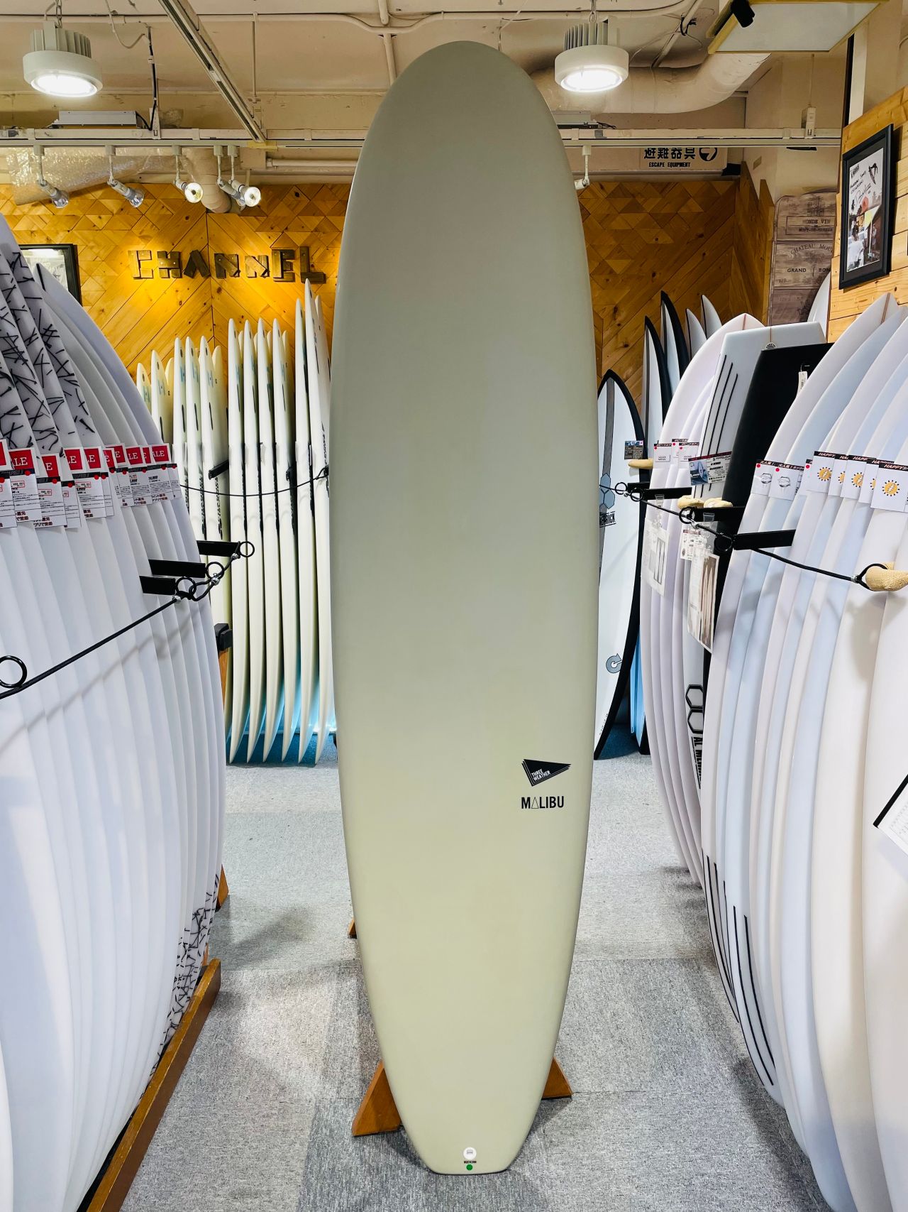 chigasaki-MalibuEPSGRY1 - SHOP NEWS | ムラサキスポーツオンラインストア 通販