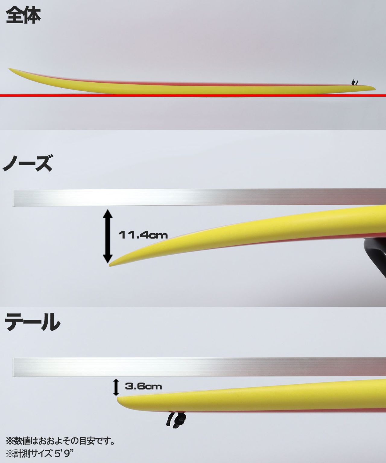 FebFishPromoPic5 - SHOP NEWS | ムラサキスポーツオンラインストア 通販