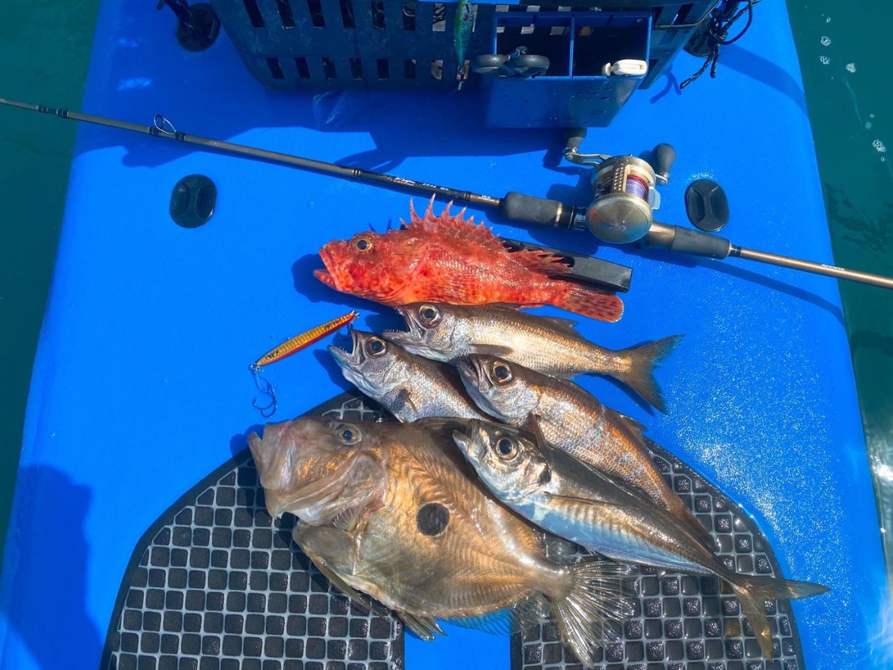 FishingLoot11 - SHOP NEWS | ムラサキスポーツオンラインストア 通販