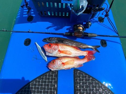 FishingLoot12 - SHOP NEWS | ムラサキスポーツオンラインストア 通販