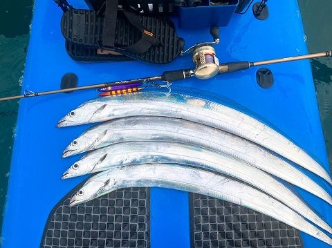 FishingLoot13 - SHOP NEWS | ムラサキスポーツオンラインストア 通販