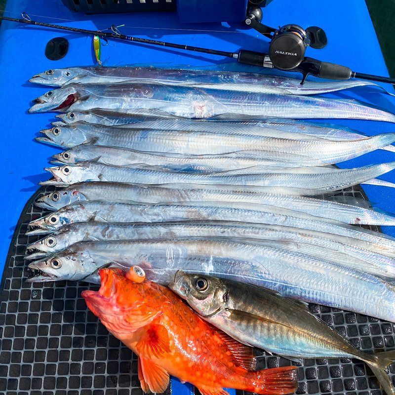 FishingLoot14 - SHOP NEWS | ムラサキスポーツオンラインストア 通販