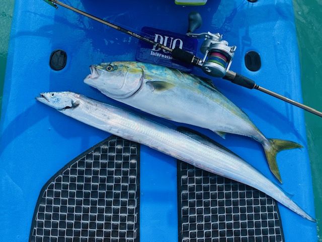 FishingLoot20 - SHOP NEWS | ムラサキスポーツオンラインストア 通販