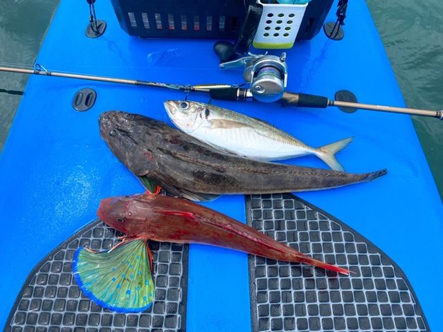 FishingLoot21 - SHOP NEWS | ムラサキスポーツオンラインストア 通販