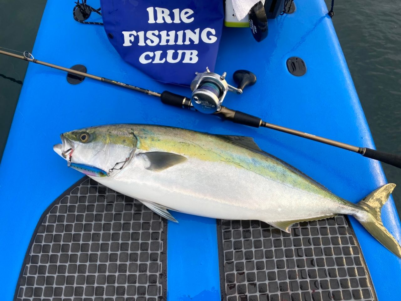 FishingLoot23 - SHOP NEWS | ムラサキスポーツオンラインストア 通販