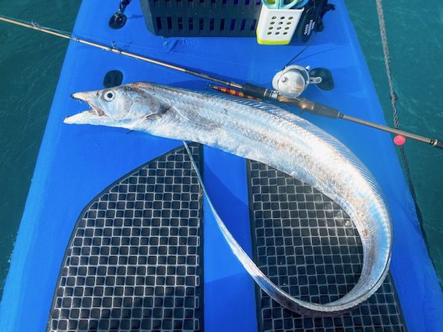 FishingLoot24 - SHOP NEWS | ムラサキスポーツオンラインストア 通販