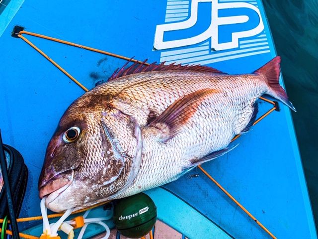 FishingLoot25 - SHOP NEWS | ムラサキスポーツオンラインストア 通販