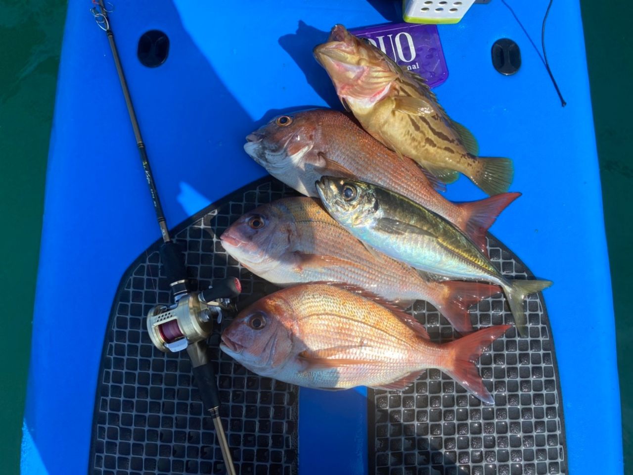 FishingLoot27 - SHOP NEWS | ムラサキスポーツオンラインストア 通販