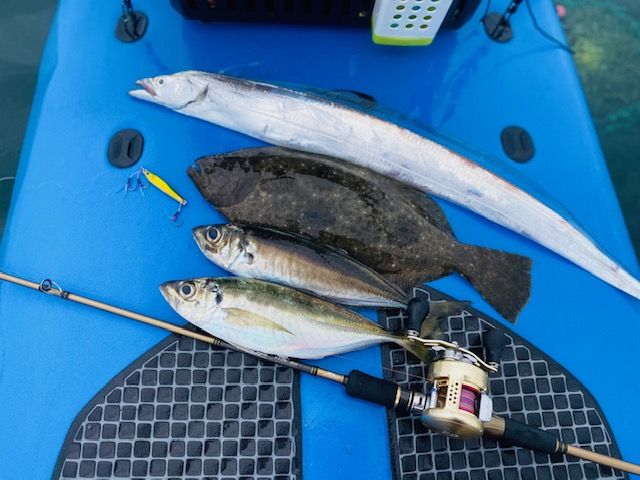 FishingLoot28 - SHOP NEWS | ムラサキスポーツオンラインストア 通販