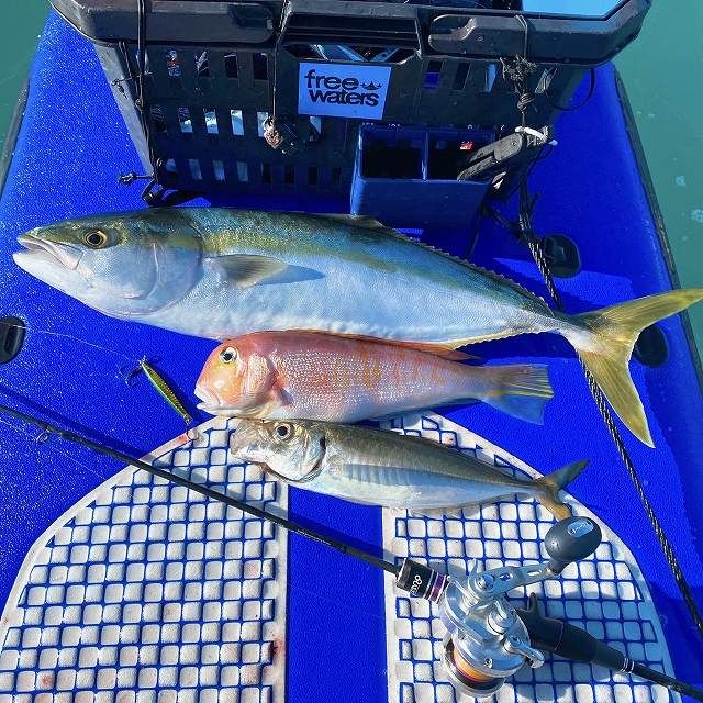 FishingLoot3 - SHOP NEWS | ムラサキスポーツオンラインストア 通販