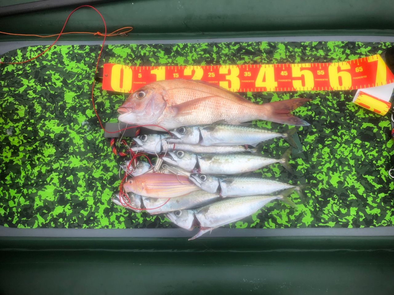 FishingLoot34 - SHOP NEWS | ムラサキスポーツオンラインストア 通販