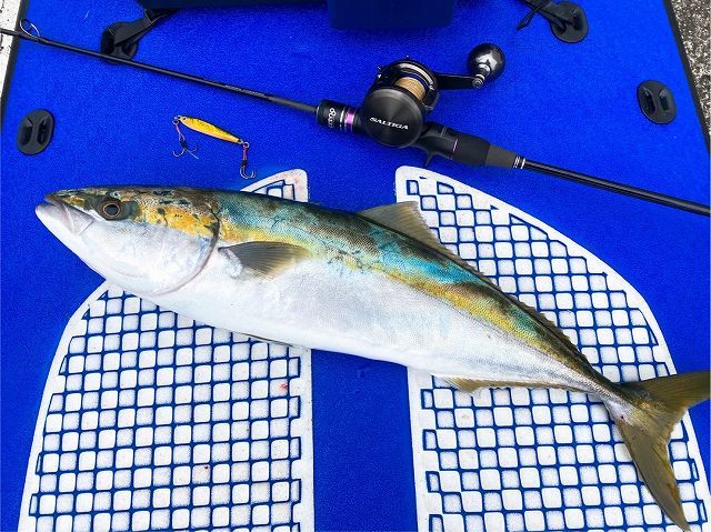 FishingLoot4 - SHOP NEWS | ムラサキスポーツオンラインストア 通販