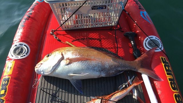 FishingLoot43 - SHOP NEWS | ムラサキスポーツオンラインストア 通販