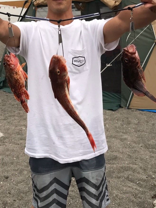 FishingLoot44 - SHOP NEWS | ムラサキスポーツオンラインストア 通販