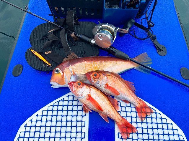 FishingLoot5 - SHOP NEWS | ムラサキスポーツオンラインストア 通販