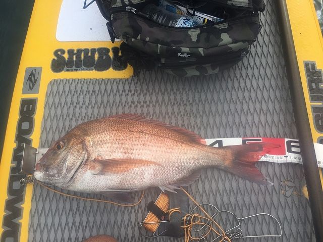 FishingLoot51 - SHOP NEWS | ムラサキスポーツオンラインストア 通販