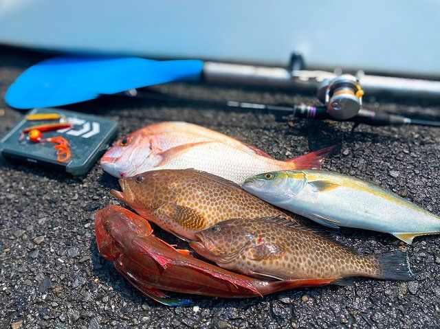 FishingLoot6 - SHOP NEWS | ムラサキスポーツオンラインストア 通販