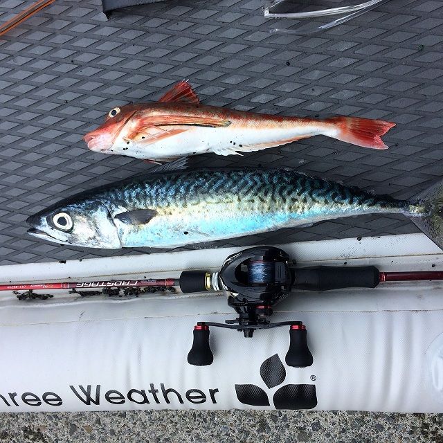 FishingLoot65 - SHOP NEWS | ムラサキスポーツオンラインストア 通販