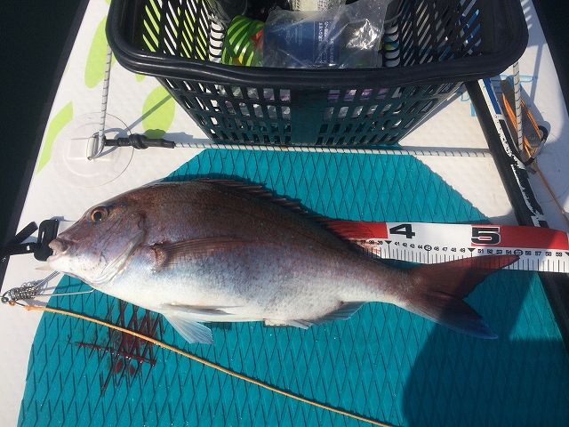 FishingLoot67 - SHOP NEWS | ムラサキスポーツオンラインストア 通販