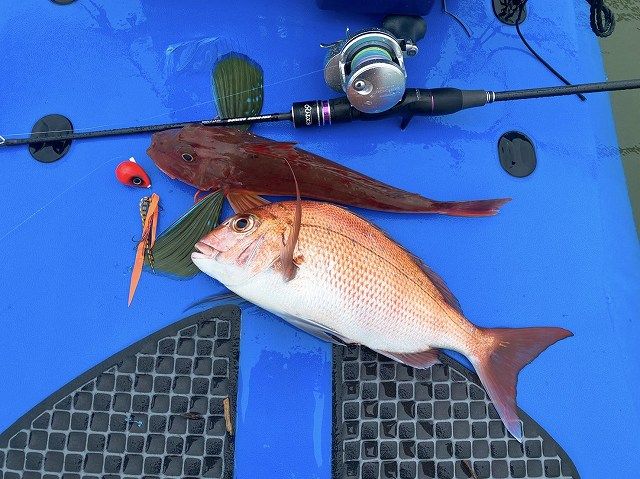 FishingLoot7 - SHOP NEWS | ムラサキスポーツオンラインストア 通販