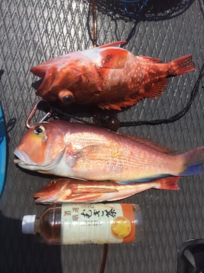 FishingLoot70 - SHOP NEWS | ムラサキスポーツオンラインストア 通販