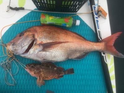 FishingLoot71 - SHOP NEWS | ムラサキスポーツオンラインストア 通販