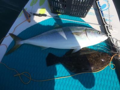FishingLoot79 - SHOP NEWS | ムラサキスポーツオンラインストア 通販