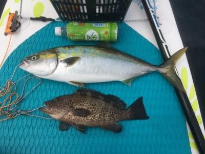 FishingLoot86 - SHOP NEWS | ムラサキスポーツオンラインストア 通販