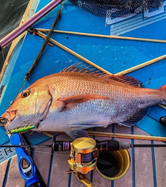 FishingLoot9 - SHOP NEWS | ムラサキスポーツオンラインストア 通販