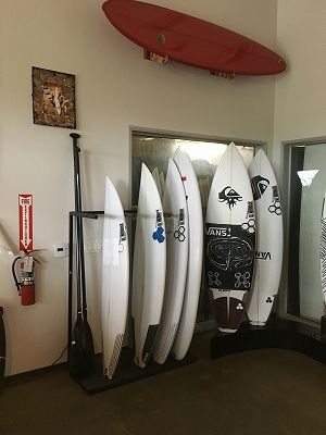 HonshaReport4 - SHOP NEWS | ムラサキスポーツオンラインストア 通販
