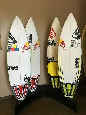 HonshaReport6 - SHOP NEWS | ムラサキスポーツオンラインストア 通販